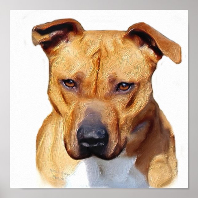 Pitbull poster (Front)