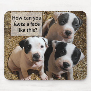 PitBull Puppies Mousepad