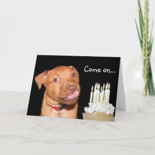 Pitbull puppy birthday card