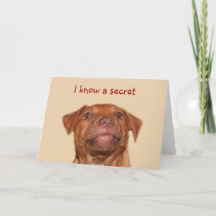 Pitbull puppy birthday card