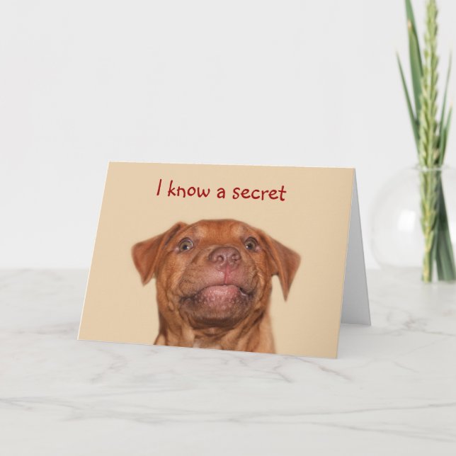 Pitbull puppy birthday card (Front)