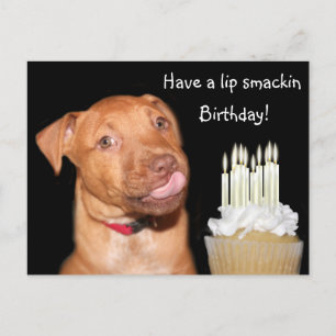 Pitbull puppy birthday postcard