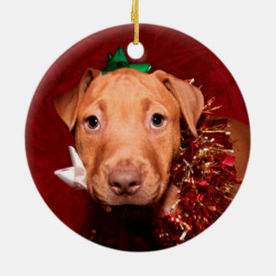 Pitbull puppy Christmas Ceramic Tree Decoration