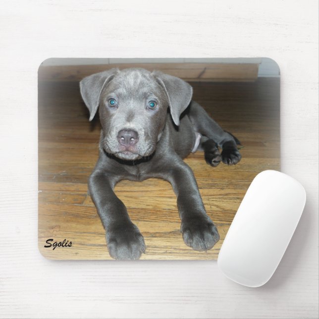 Pitbull Puppy / Cute Dog  Mouse Mat (With Mouse)