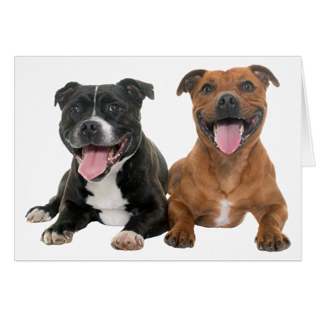 Pitbull Puppy Dog Hello Miss You Love Pit Bull (Front Horizontal)