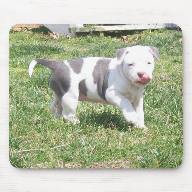 PITBULL PUPPY MOUSE MAT (Front)