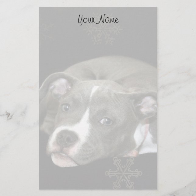 Pitbull puppy stationary stationery (Front)