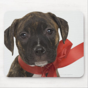 Pitbull puppy wearing red ribbon mouse mat