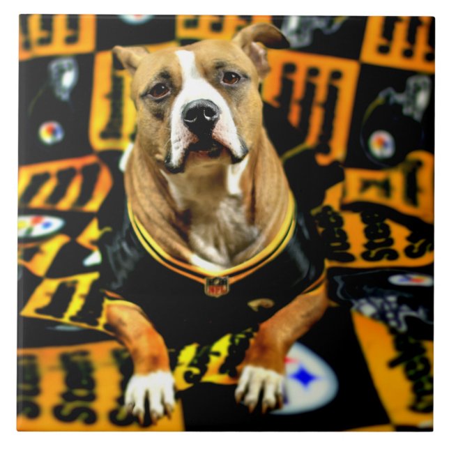 Pitbull Rescue Dog Football Fanatic Tile (Front)