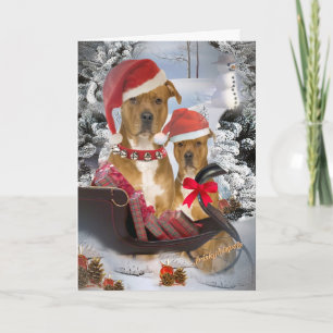 Pitbull "Santa's Sleigh" Cards