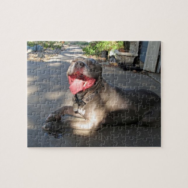 Pitbull Sloppy Dog Kiss Puzzle (Horizontal)
