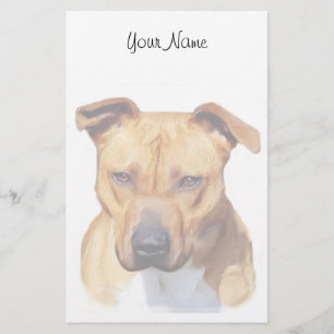 Pitbull stationary stationery