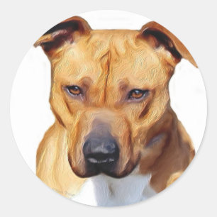 Pitbull stickers