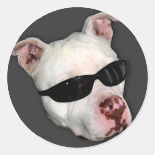 Pitbull stickers