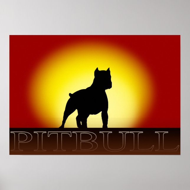 Pitbull Sunset Poster (Front)