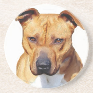 Pitbull Terrier Coaster