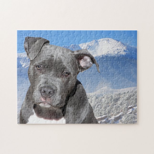 Pitbull Terrier. Jigsaw Puzzle (Horizontal)