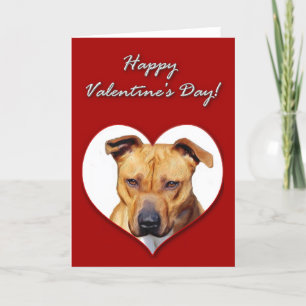 Pitbull Valentines Day Card