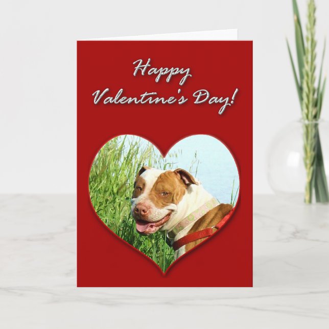 Pitbull Valentines Day Card (Front)
