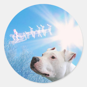 PItbull White Dog Christmas Wish Classic Round Sticker