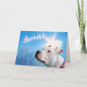 Pitbull White Dog Christmas Wish Holiday Card