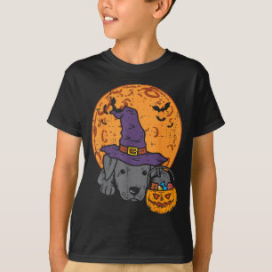 Pitbull Witch Hat Moon Jack O Lantern Halloween T-Shirt