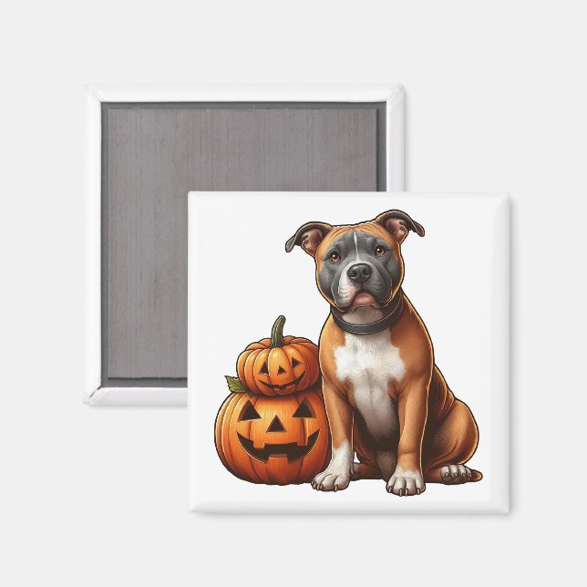 Pitbull with Halloween Pumpkins Magnet (Front/Back)