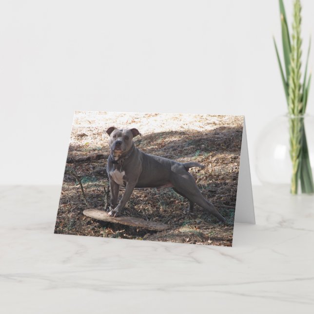 Pitbull with Skateboard Thank You Card (Front)