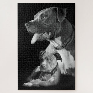 Pitbulls Jigsaw Puzzle