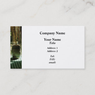 Pitcher By Window Business Card