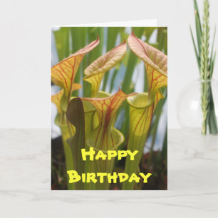 Pitcher Plant Carnivorous Birthday Card