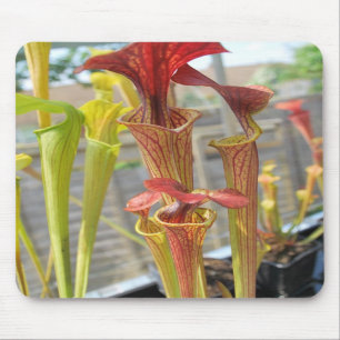 Pitcher Plant Mouse Pad 2