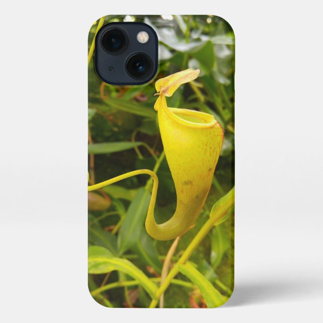 Pitcher Plant Nepenthes Carnivorous Nature Photo iPhone Case (Back)