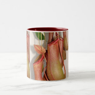 Pitcher Plant Two-Tone Coffee Mug