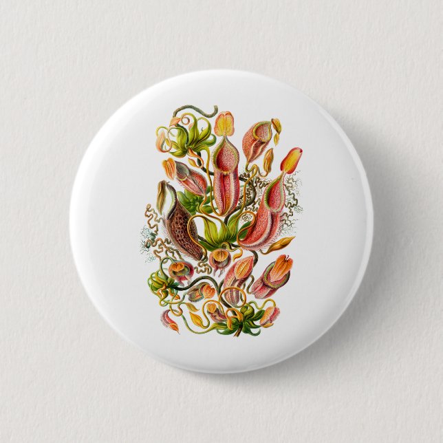Pitcher Plants 6 Cm Round Badge (Front)