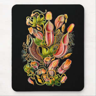 Pitcher Plants Mouse Mat
