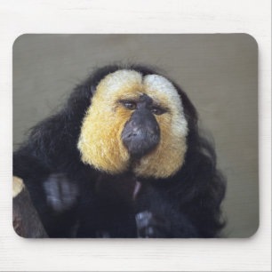 Pithecia pithecia mouse mat