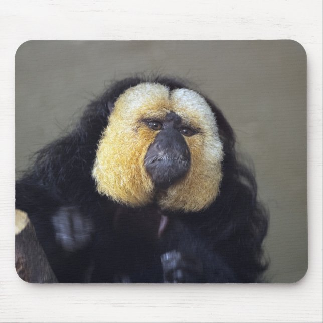 Pithecia pithecia mouse mat (Front)