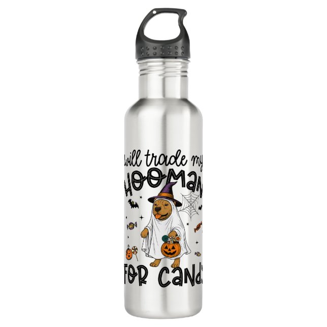 Pitpull Dog Halloween Ghost Spooky 710 Ml Water Bottle (Front)