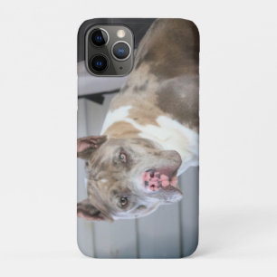 Pitt bull iPhone 11 pro case