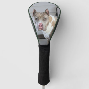 Pitt bull golf head cover