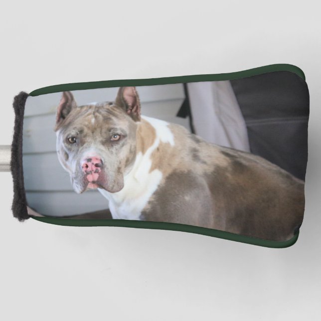 Pitt bull golf head cover (Front)