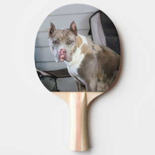Pitt bull ping pong paddle