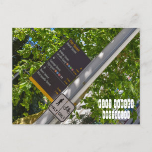 Pitt Street  Postcard