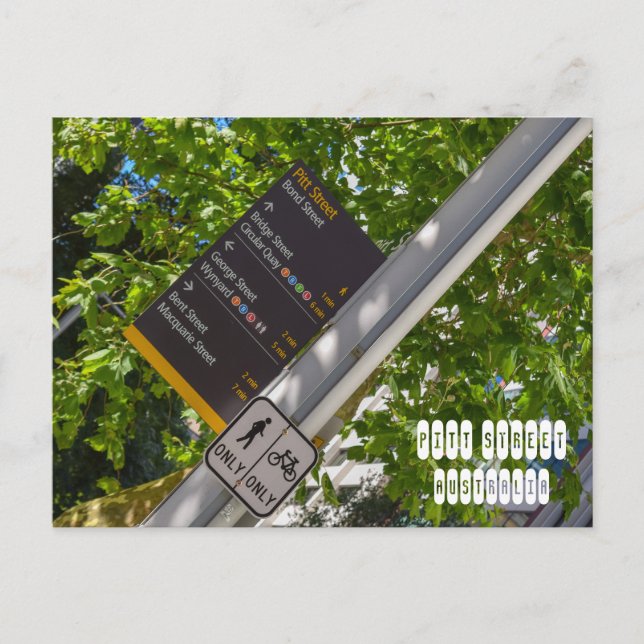 Pitt Street  Postcard (Front)