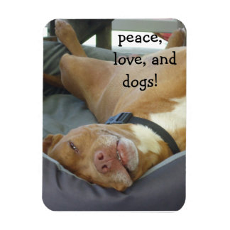 Pittbull Dog - Peace, Love and Dogs Magnet