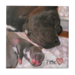 Pittie Love Tile