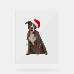 Pittie Pitbull Christmas Lights Xmas Dog Lover Acrylic Sign