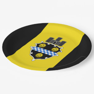 Pittsburgh city flag paper plate