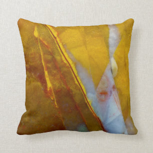 Piute Jasper Cushion